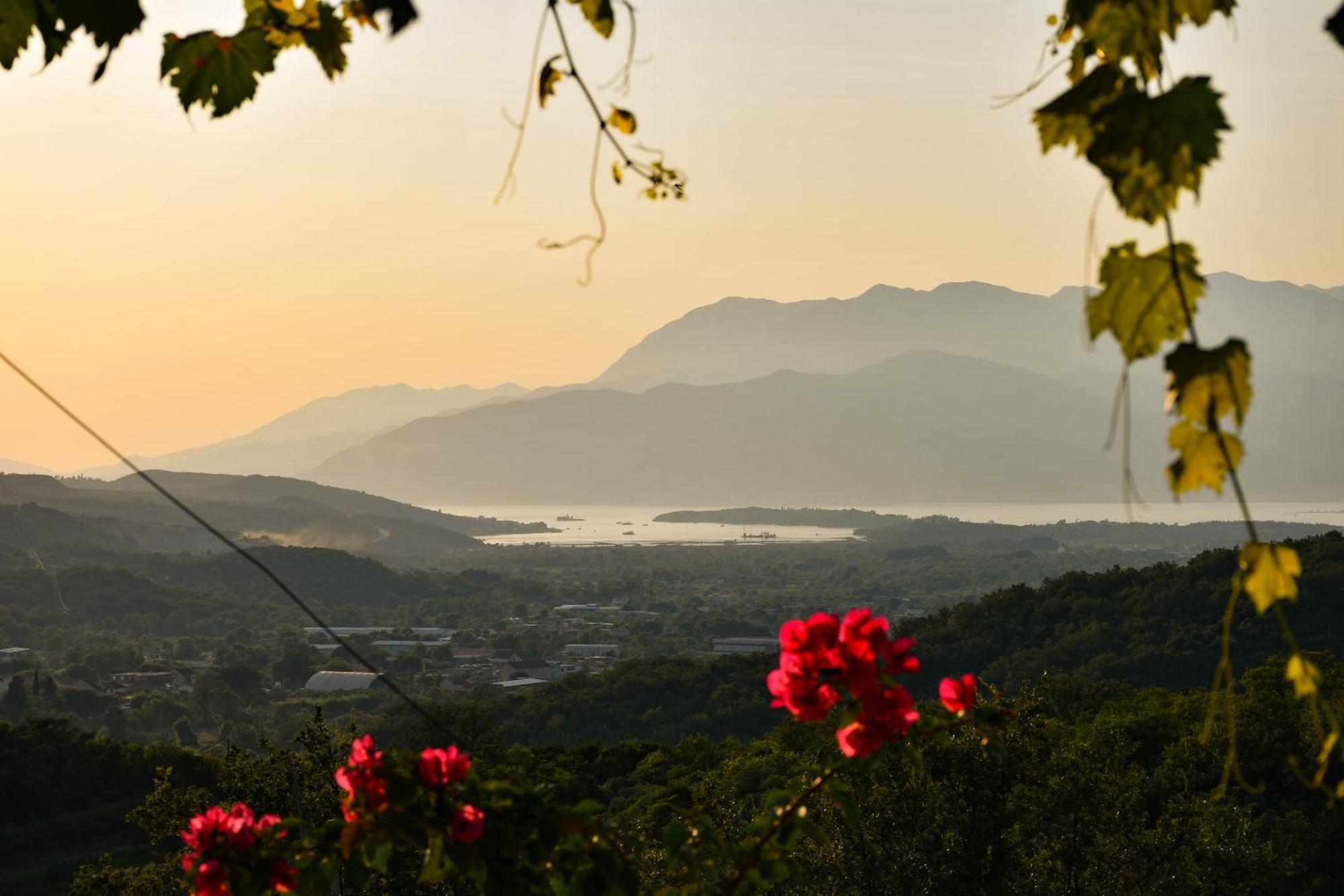 Raj Appartement Kotor Buitenkant foto
